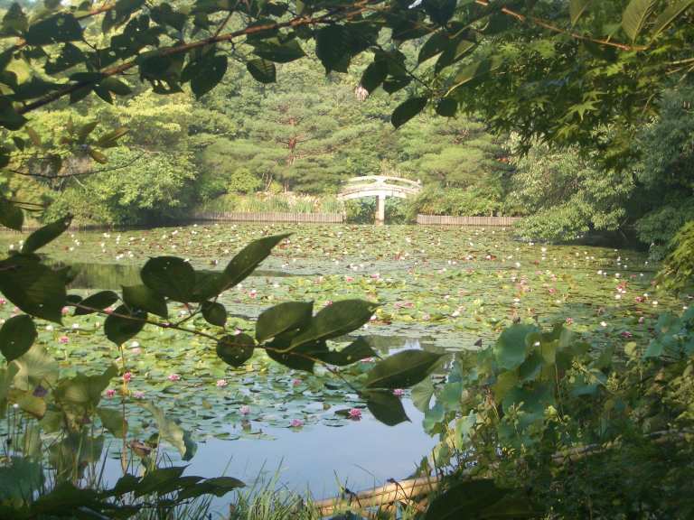 Ryoan-ji Temple, Kyoto 04_Stephen Varady Photo ©