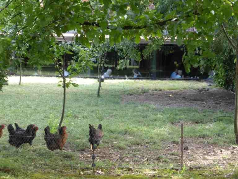 Les Cols Restaurant, Olot, Spain - RCR Arquitectes 14_Stephen Varady photo ©