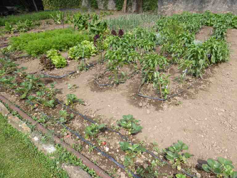Les Cols Restaurant, Olot, Spain - RCR Arquitectes 16_Stephen Varady photo ©