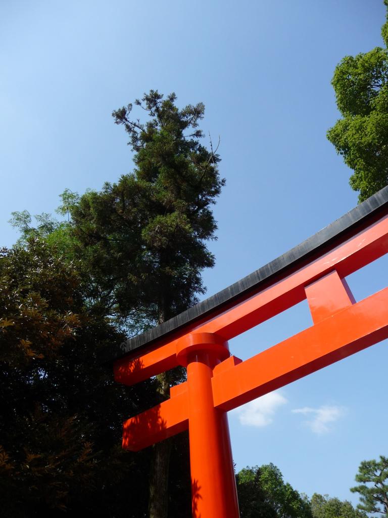 Fushimi Inari Taisha, Kyoto 04_Stephen Varady Photo ©