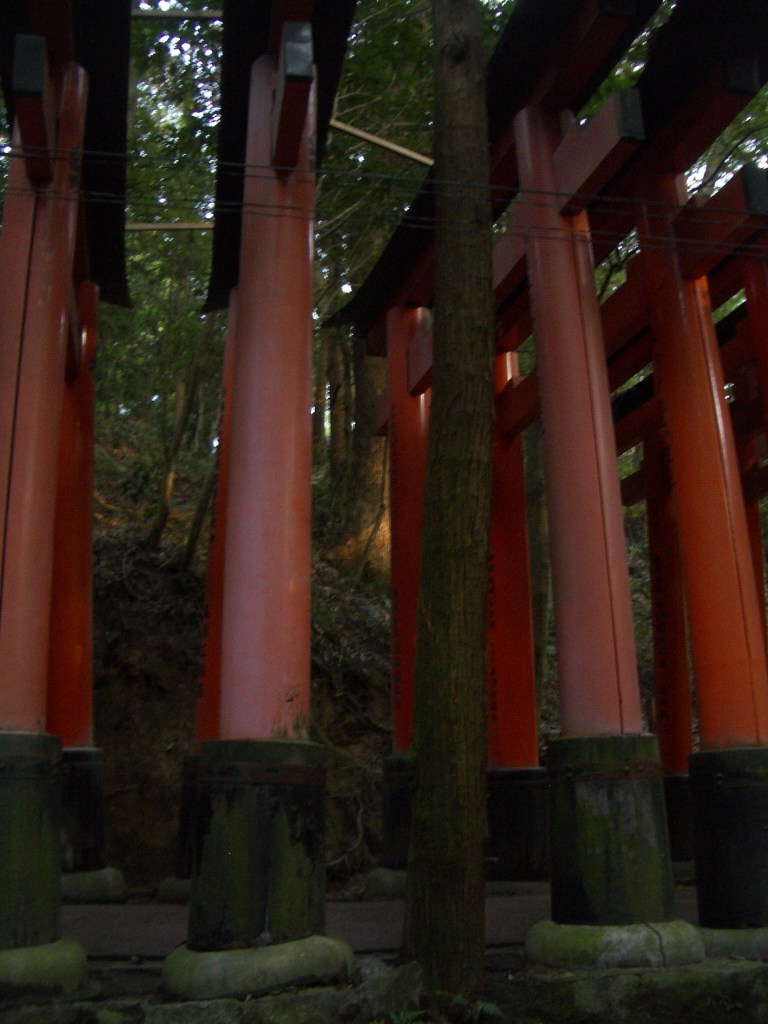 Fushimi Inari Taisha, Kyoto 39_Stephen Varady Photo ©