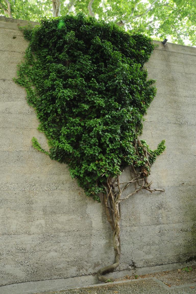 Venezuela Biennale Pavilion, Venice by Carlo Scarpa 15_Stephen Varady Photo ©